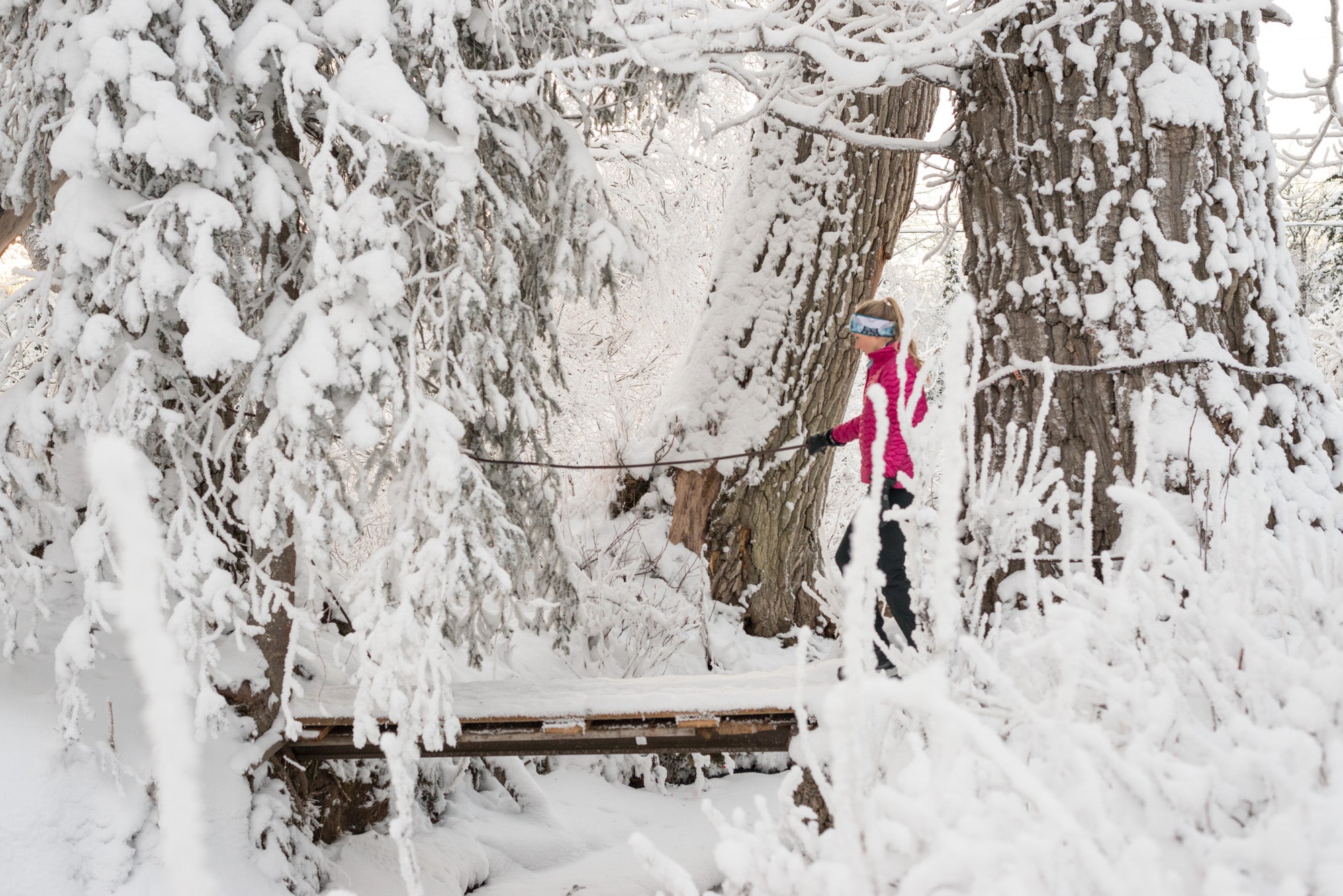 Photographing Alaska, Winter Snow
