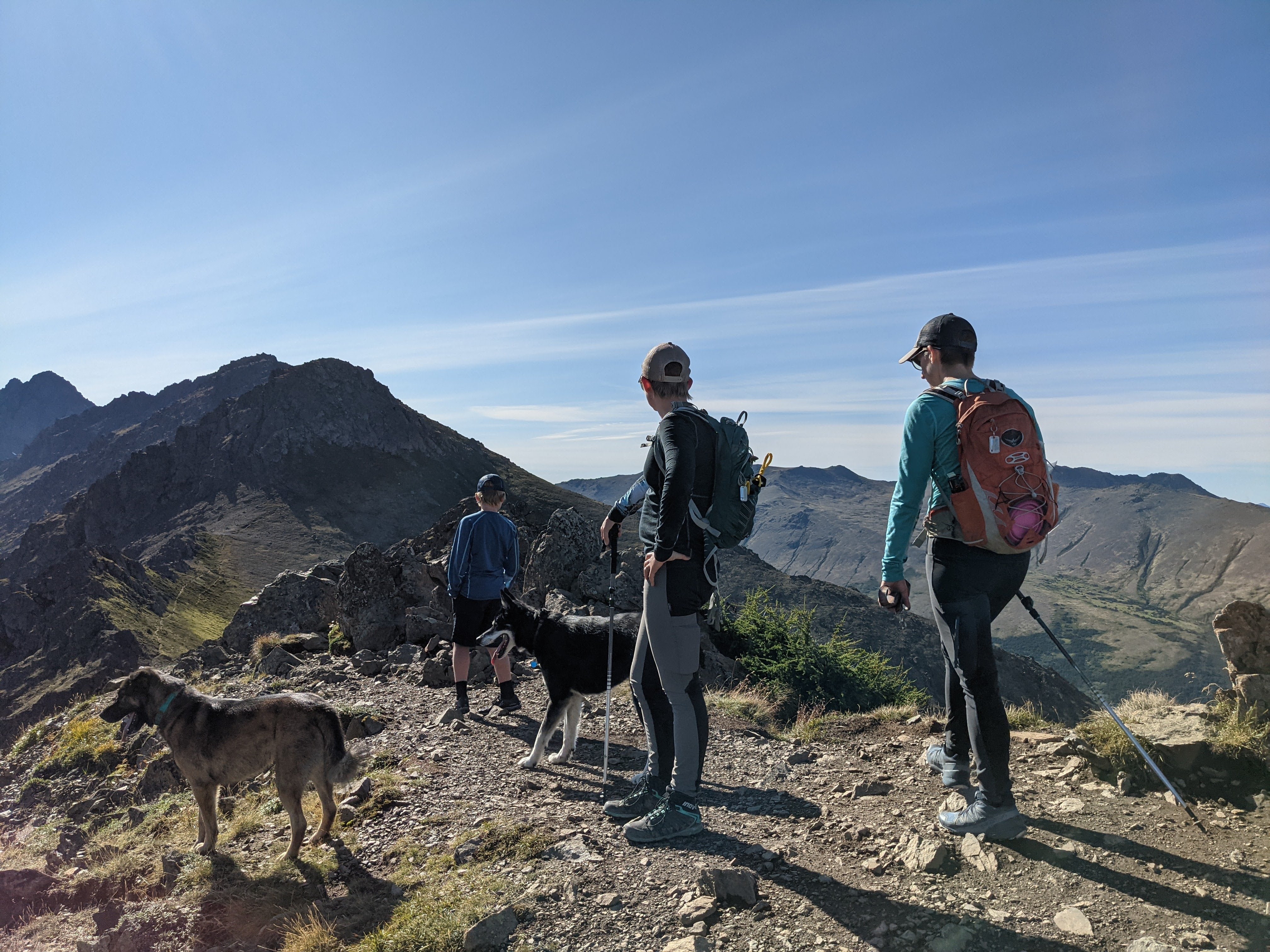 Camping and Hiking with Your Dog: Must-Have Pack Items They Don't Tell You About