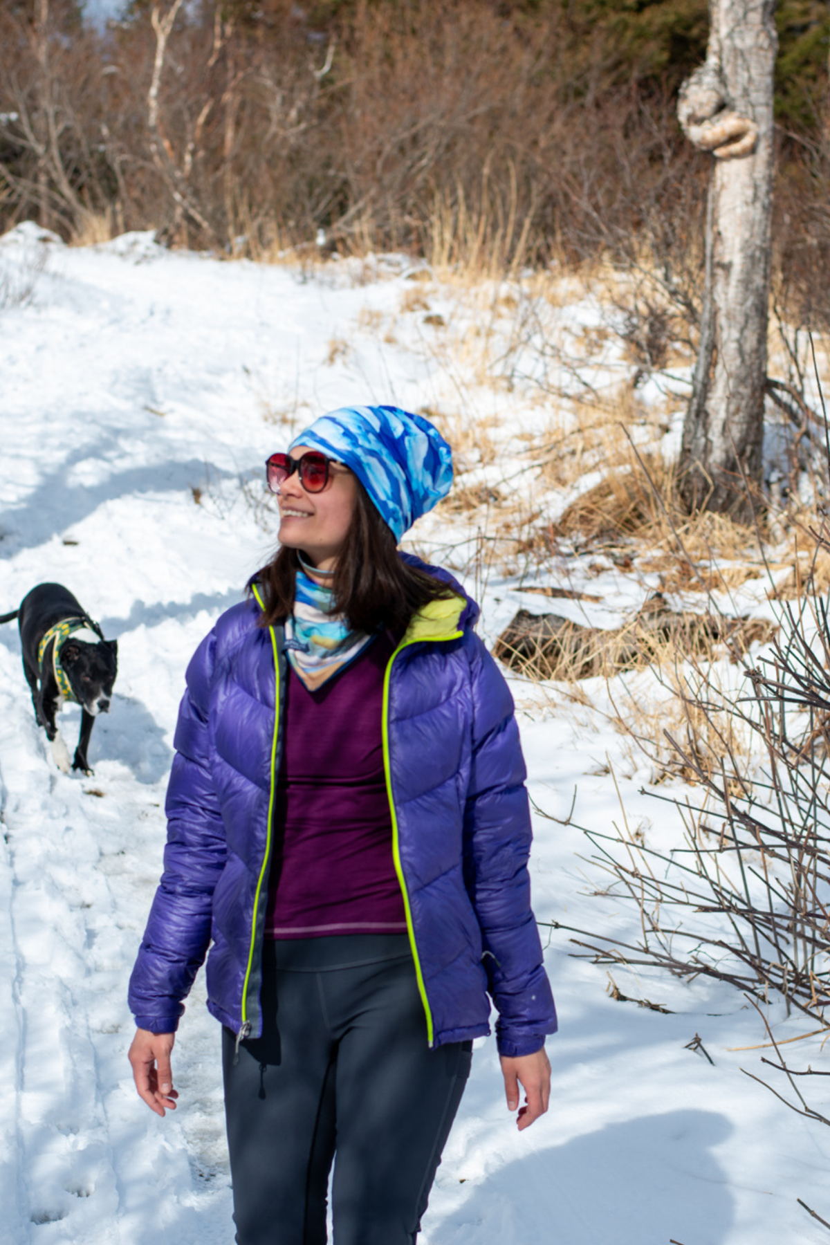 Alpine Fit Mountain V Fleece Neck Warmer Rainbow Peak, Person wearing a purple jacket and blue beanie standing in a snowy landscape with a dog.