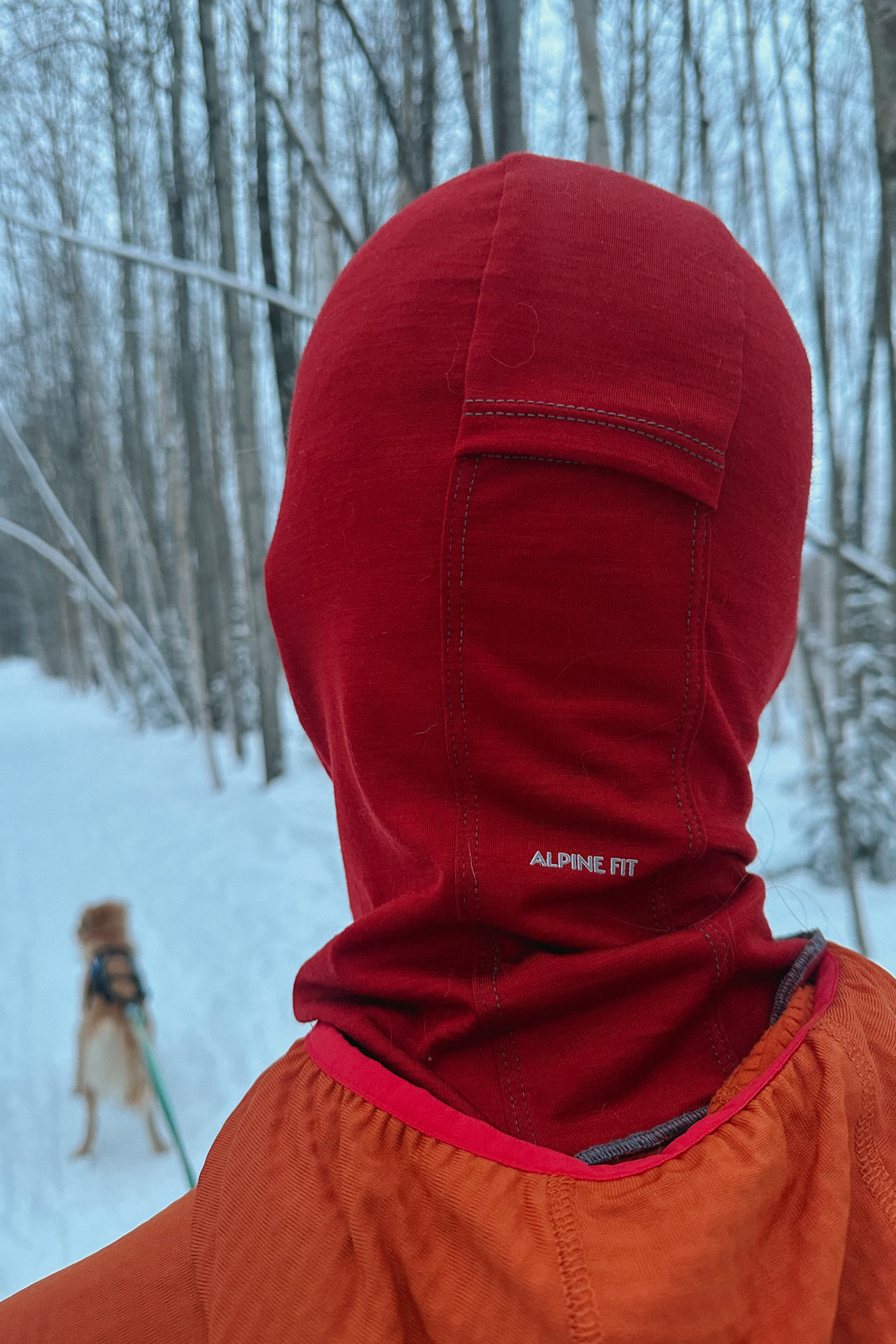Alpine Fit Merino Wool Balaclava Rust, Man wearing balaclava on snowy background, Back view