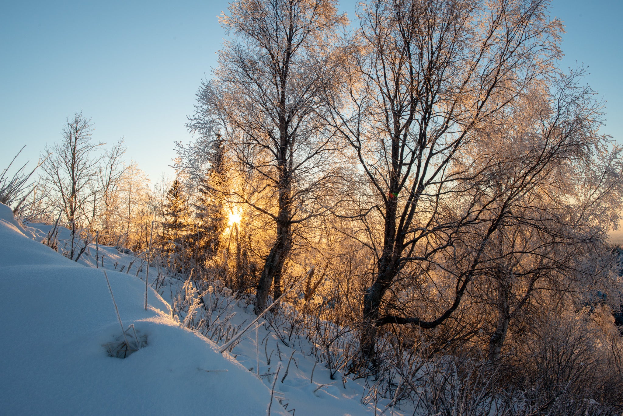 Surviving Alaska: Winter Hikes
