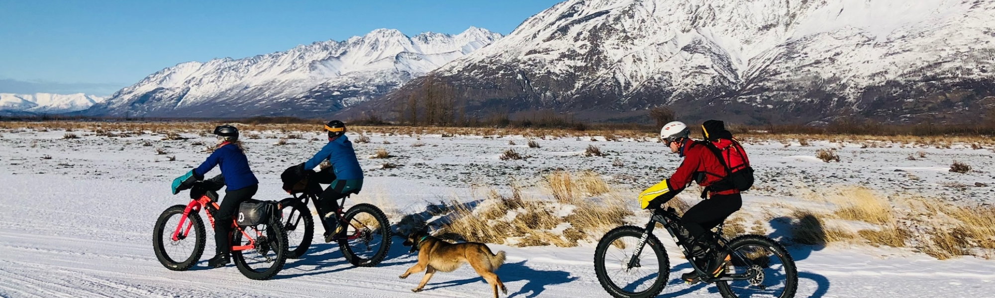 Bike + Bikepack