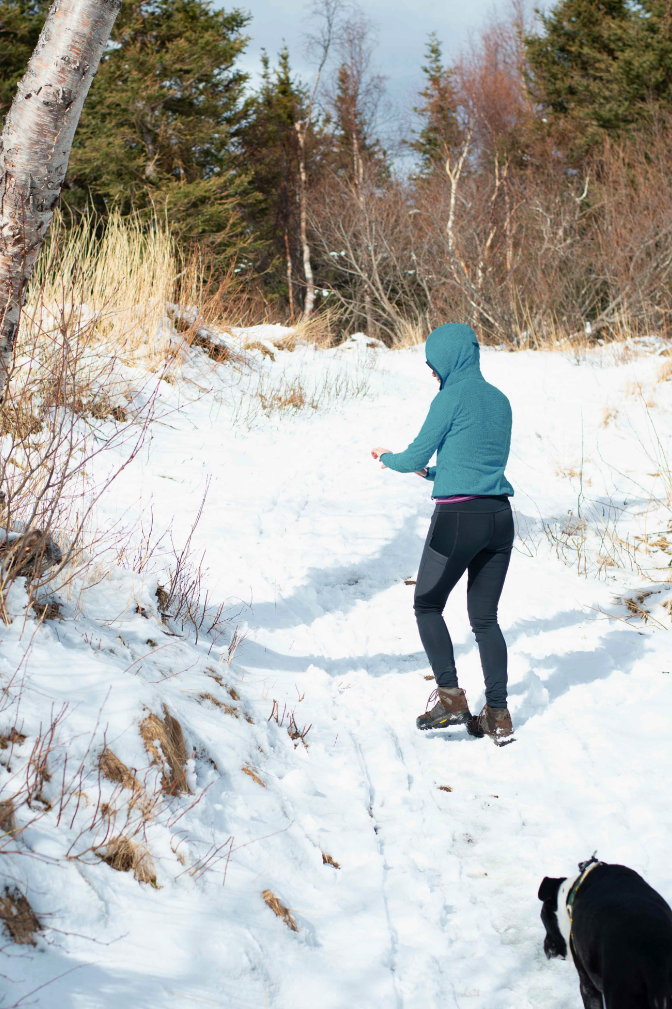 Fastpacker Fleece Alpha 90 - Coastal