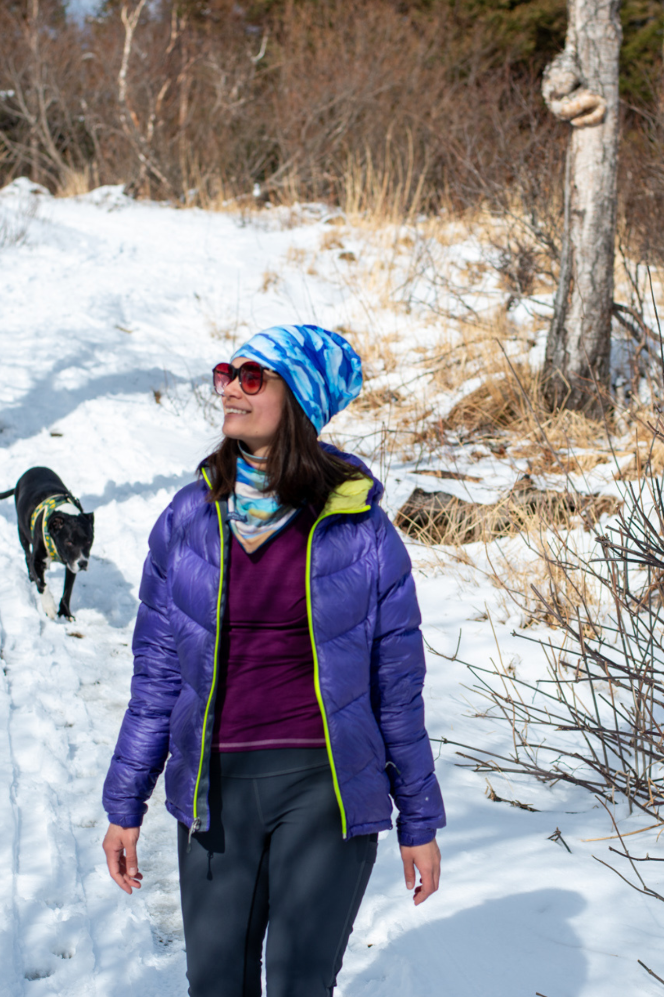 Mountain V Fleece Neck Warmer