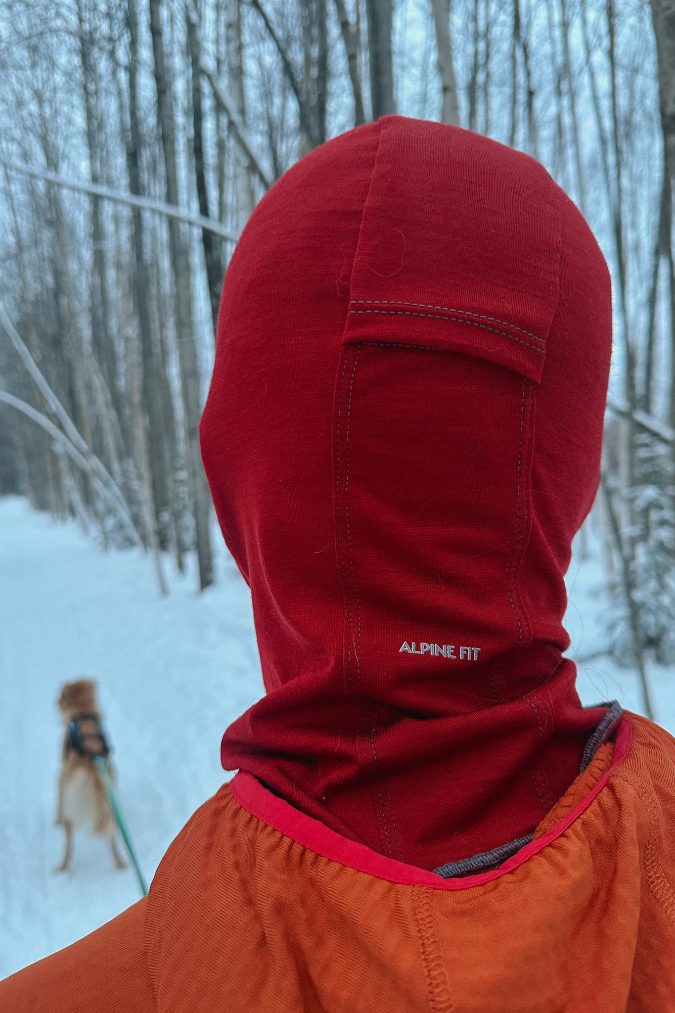 Merino Wool Balaclava